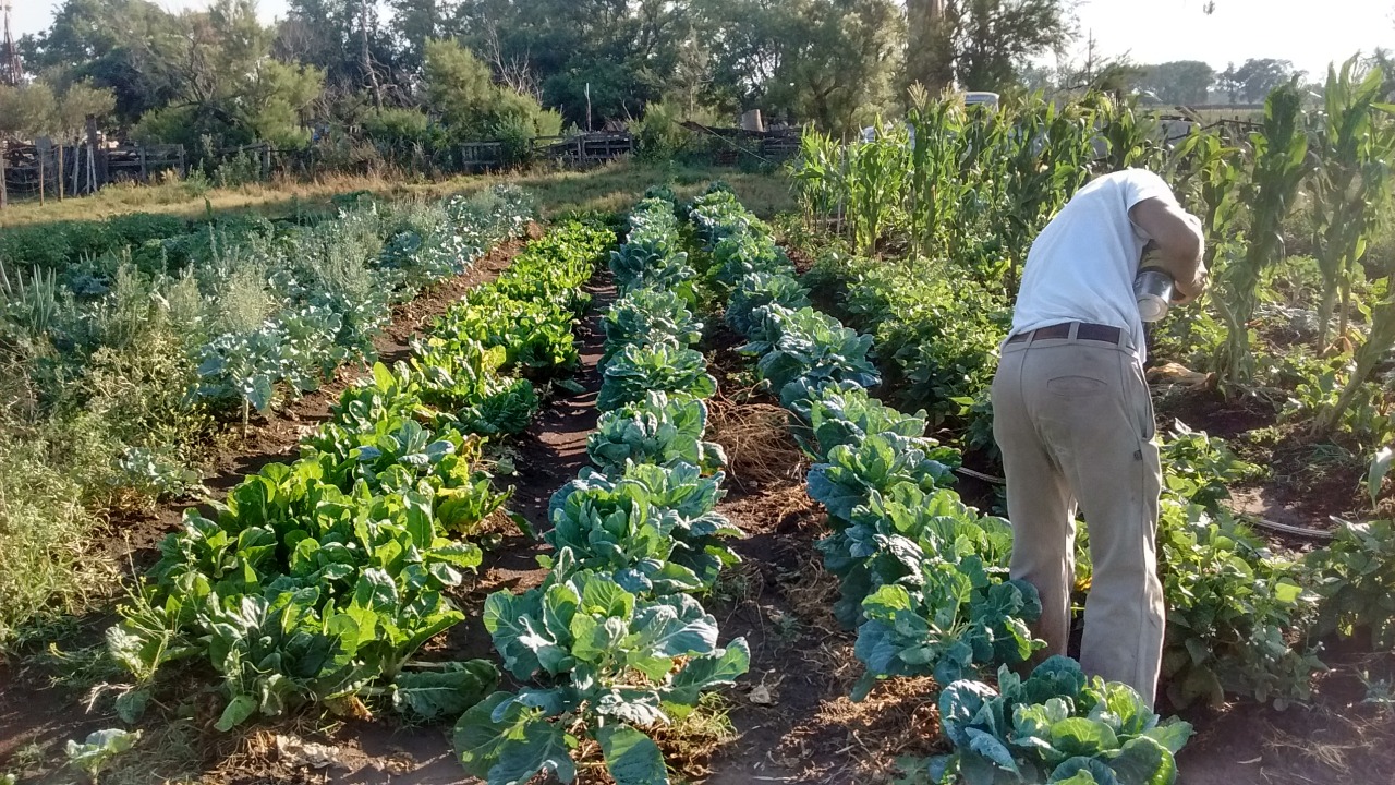 Con 10 productores comienza la agroecología en Salliqueló