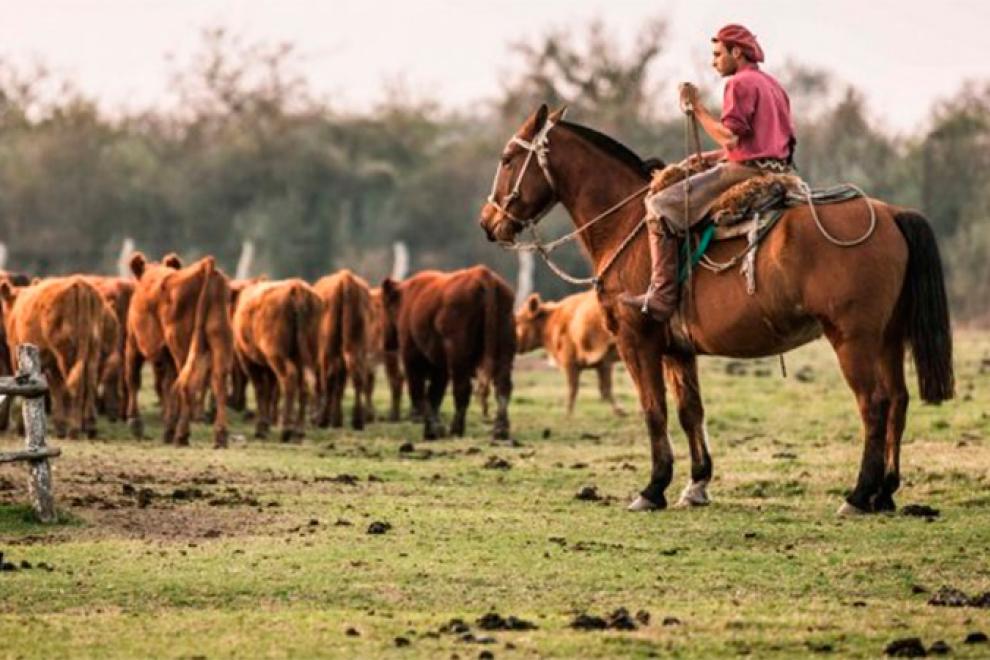 Trabajadores rurales recibirán el bono de 5 mil pesos