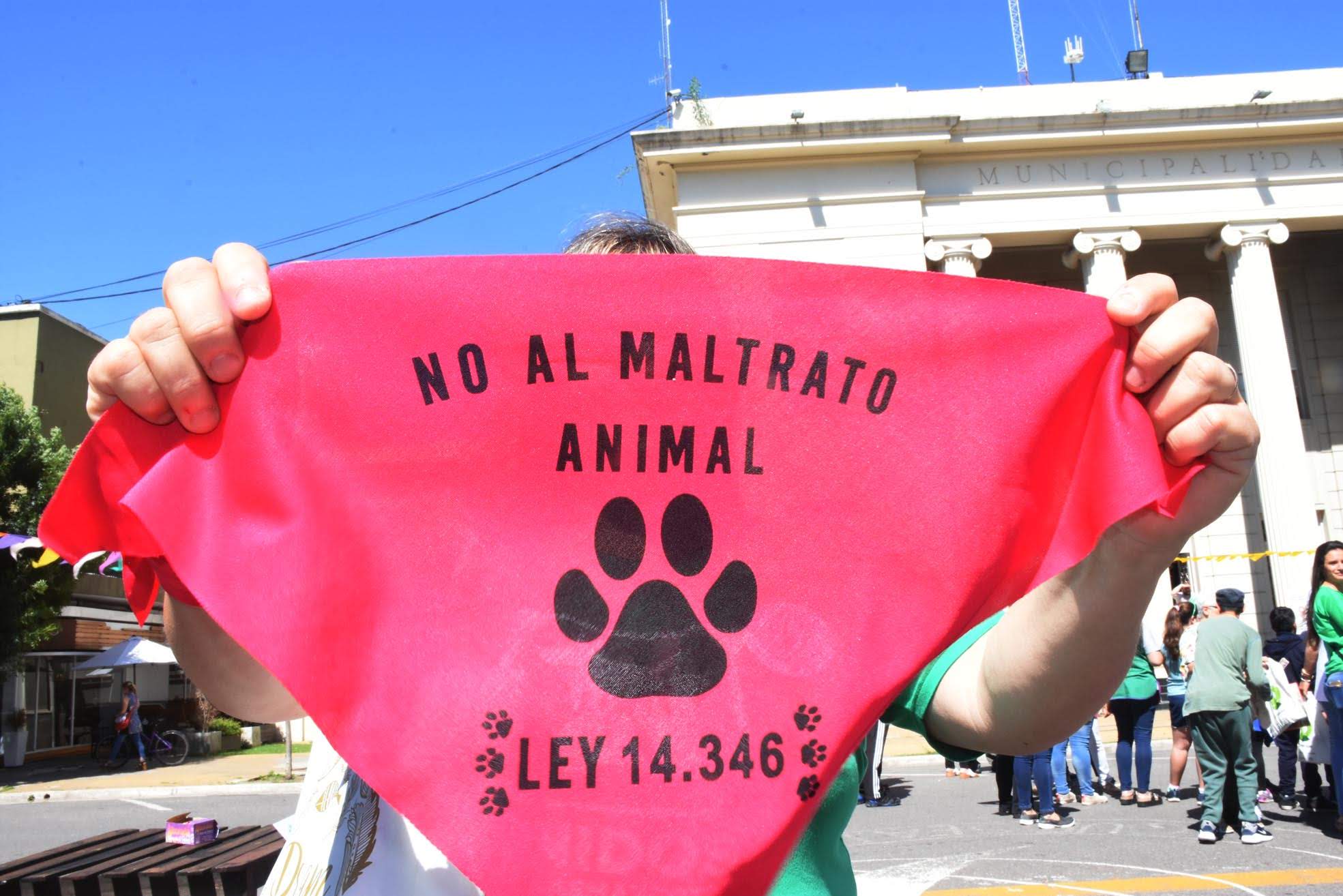 UPA también se manifestó contra el uso de animales en el festejo del Di Gerónimo