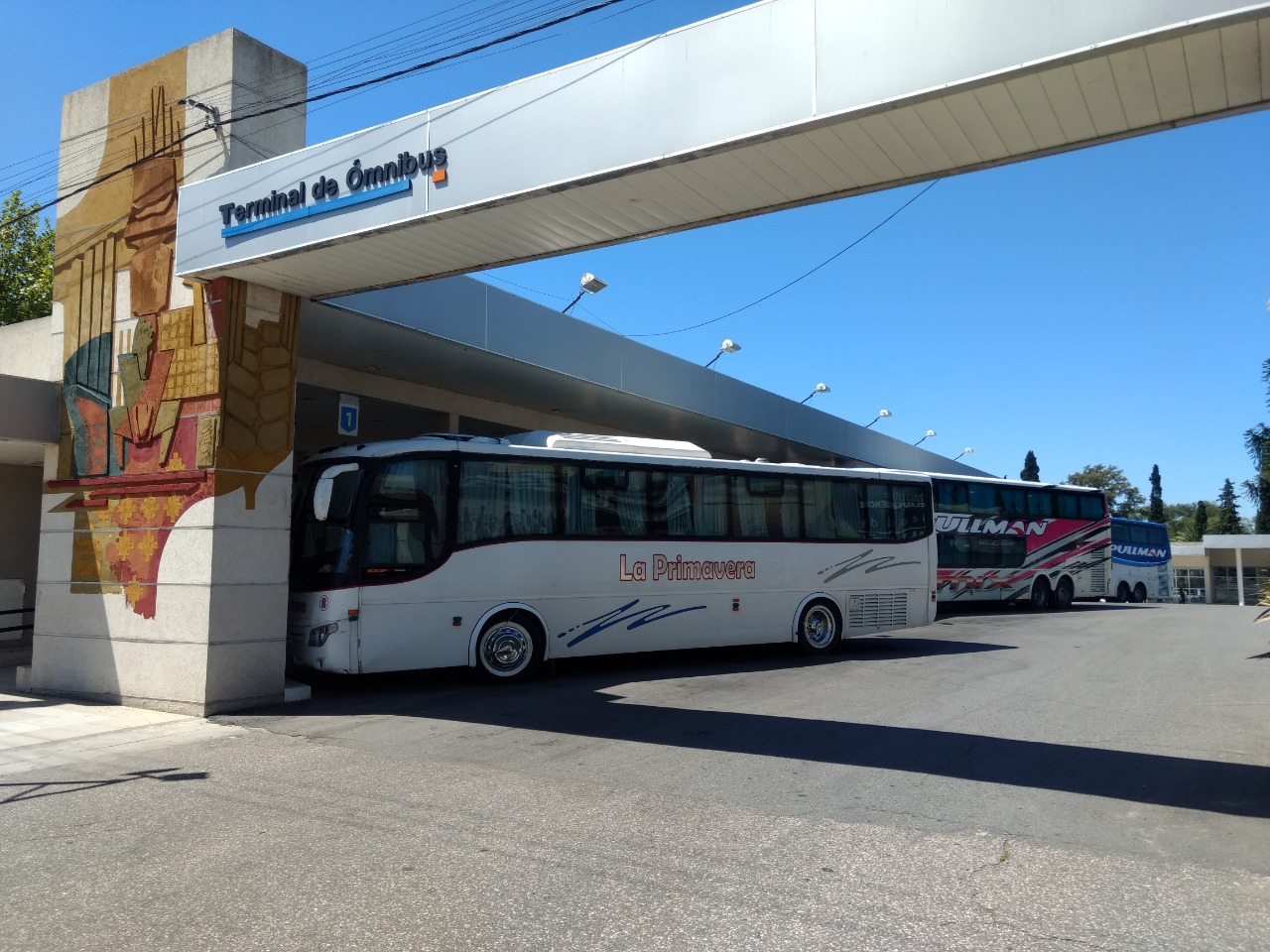 Transporte La Primavera anunció la interrupción del servicio hasta el 1 de agosto