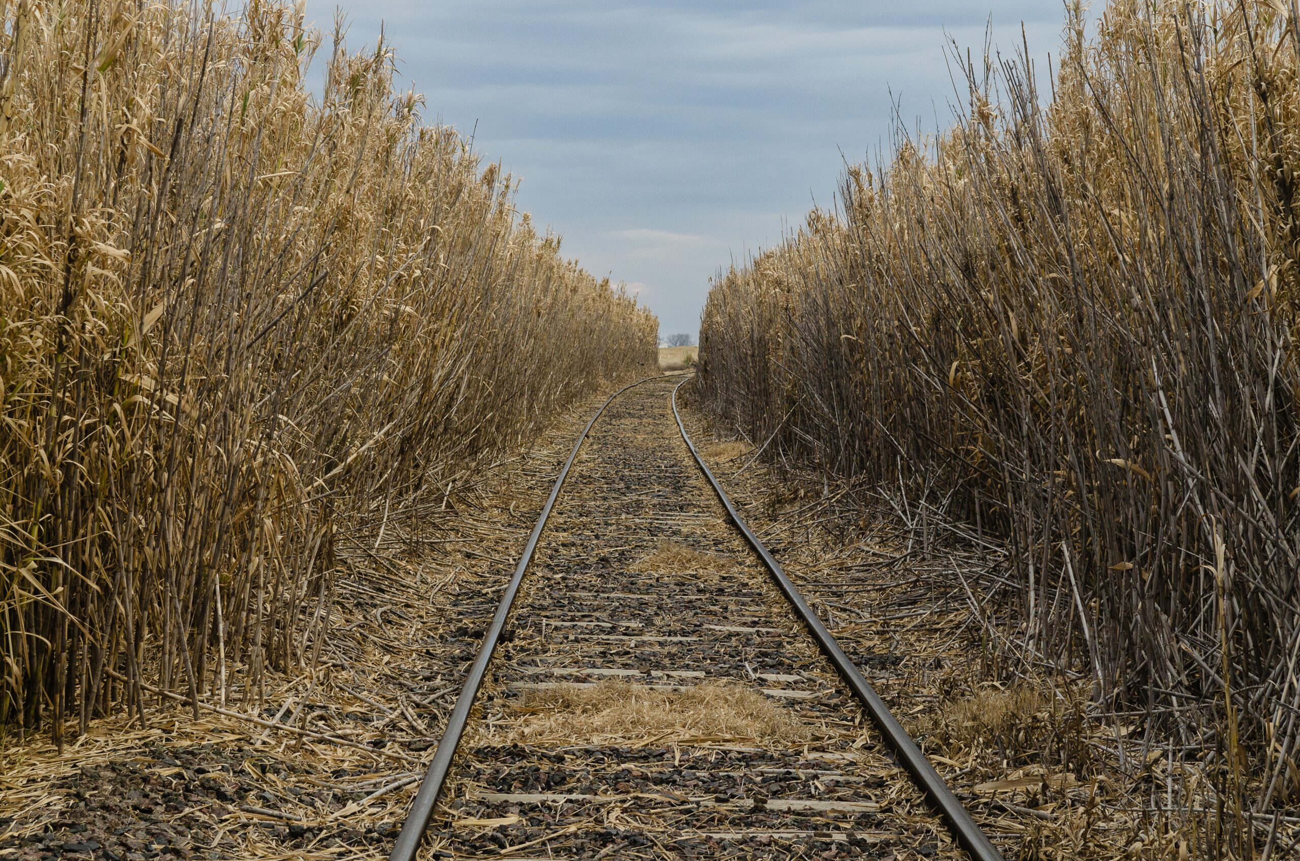 Hicieron un allanamiento por el robo de cereal a vagones de un tren de carga