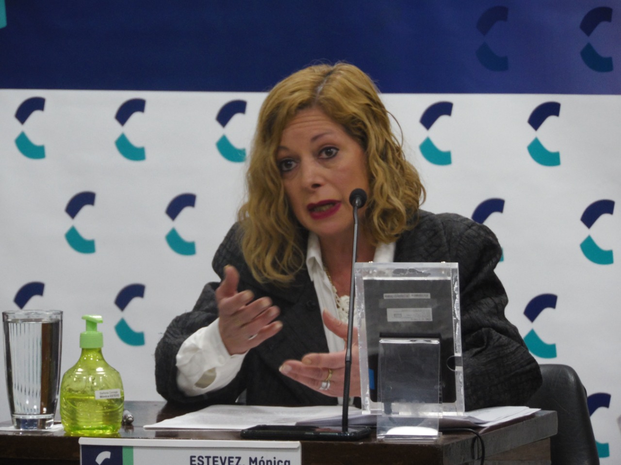 Mónica Estévez: el 2001 y la “vigencia incomprensible de los responsables”