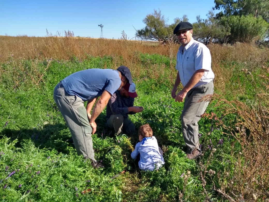 Crían hacienda de manera ecológica y ya tienen un mercado para la venta