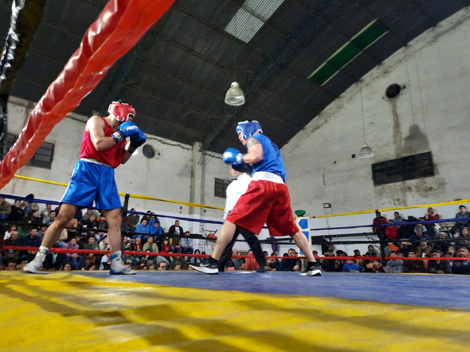 Gran noche de boxeo amateur con mucho público en el Club Sarmiento