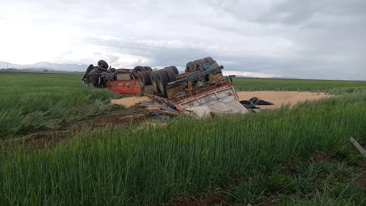 Tras despistarse, un camionero murió en cercanías al acceso a Saavedra