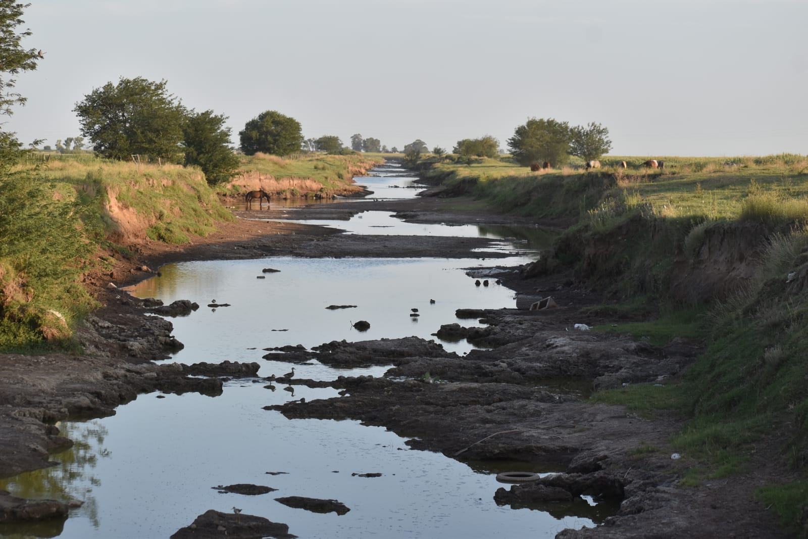 Postales de la sequía: el canal que sale del bajo de Sangla casi no tiene agua