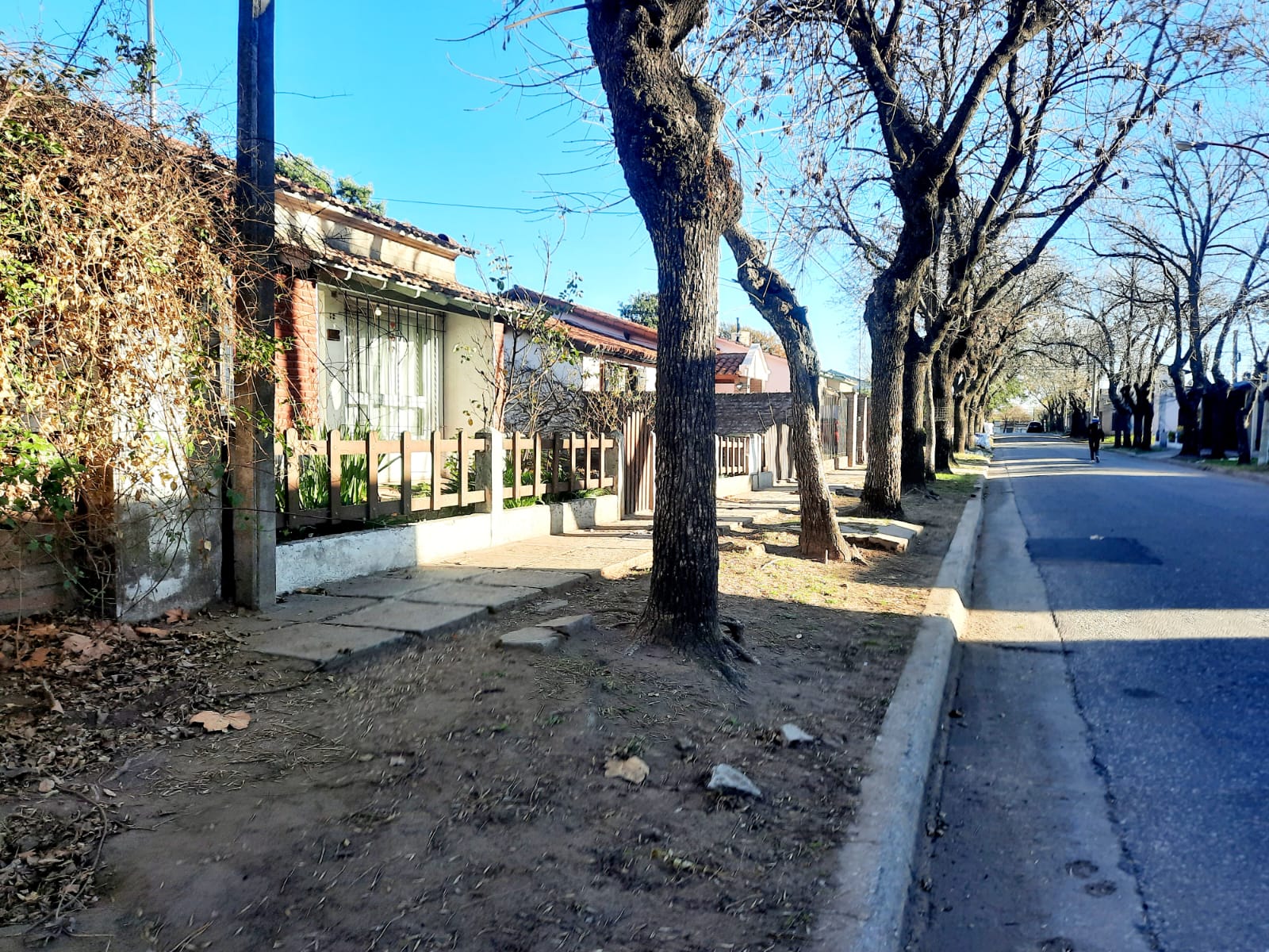 El barrio Obrero, un rincón con una traza única y jardines multicolores