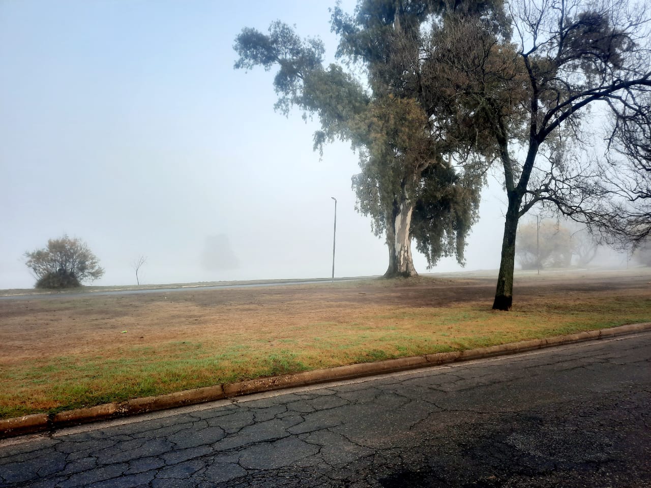 Pasos perdidos en la niebla…