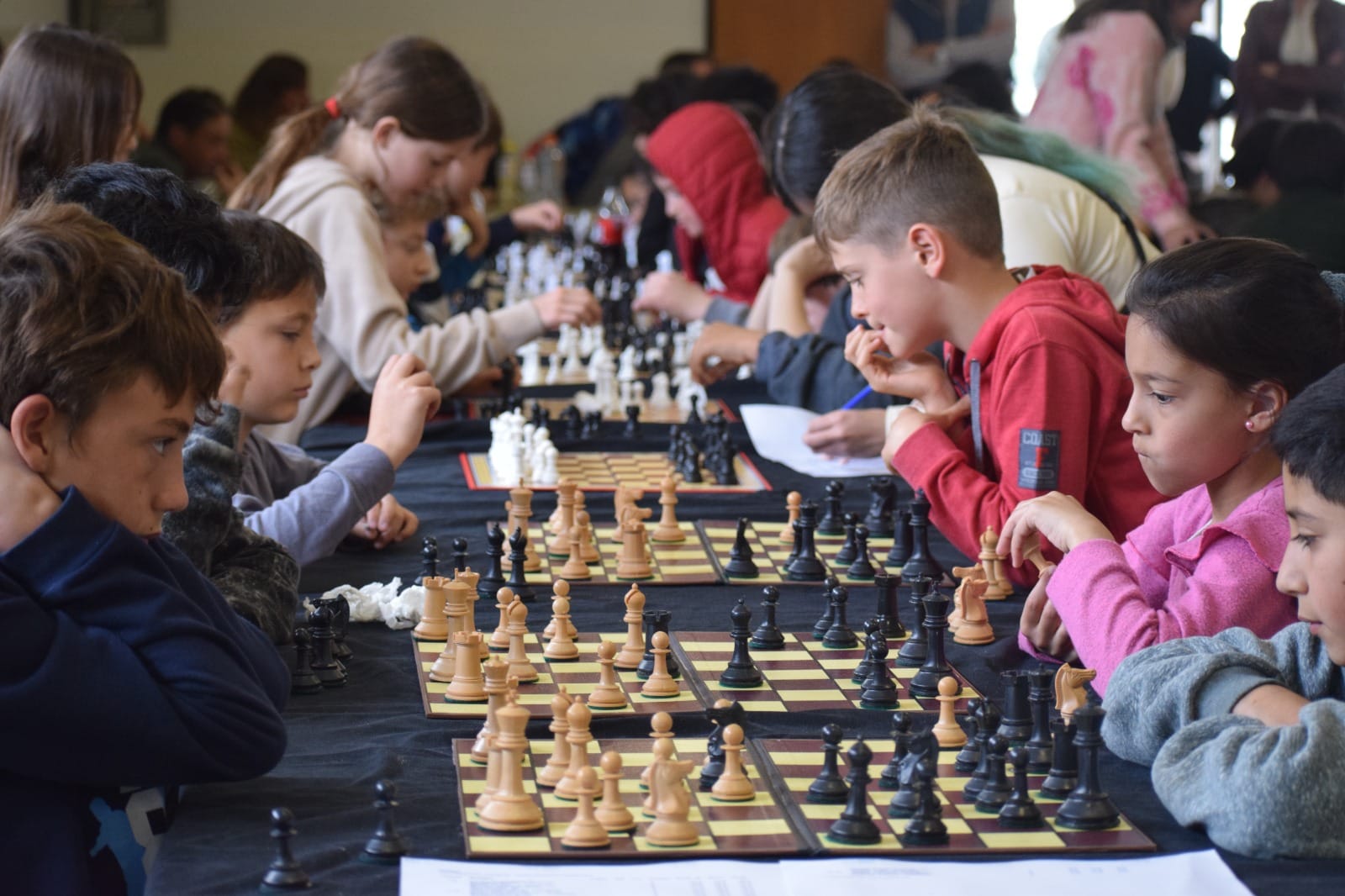 Ajedrez: resultados torneo 6 ciudades en Pellegrini