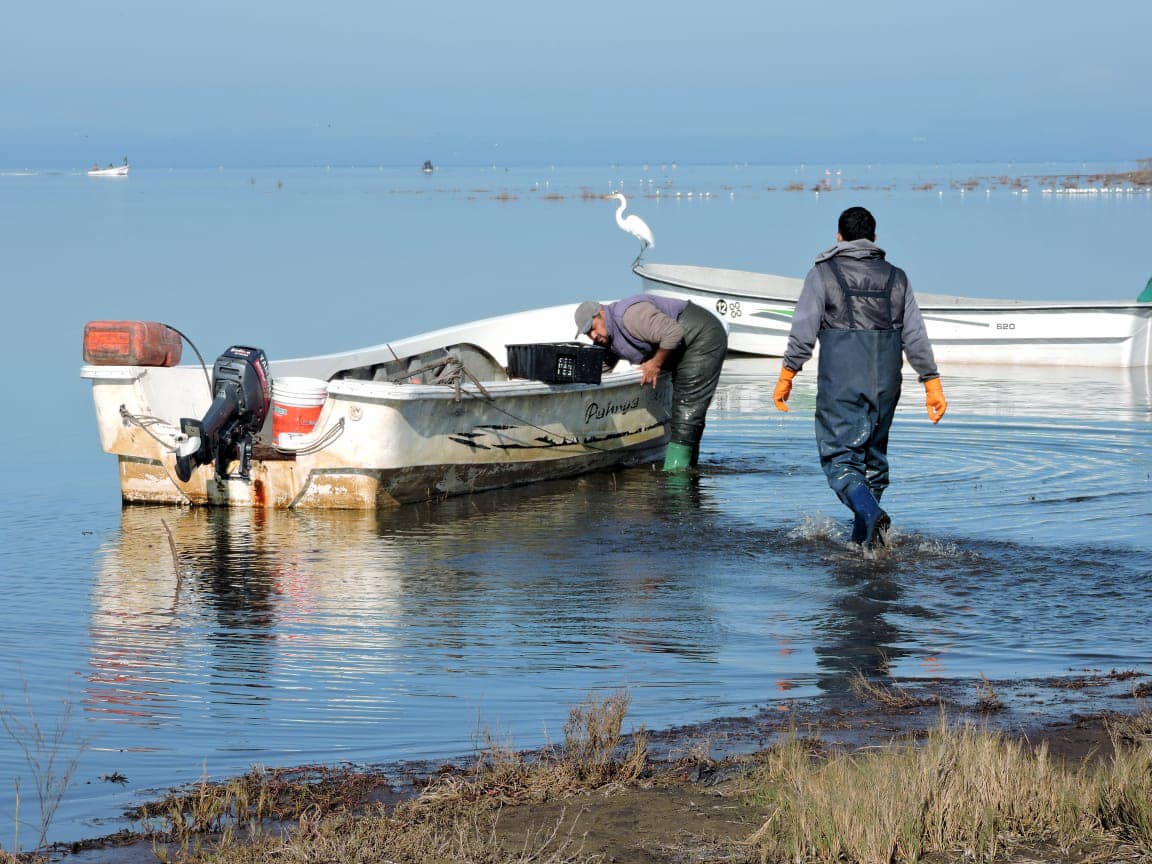 Se habilitó la temporada de pesca comercial de pejerrey en la laguna Las Tunas