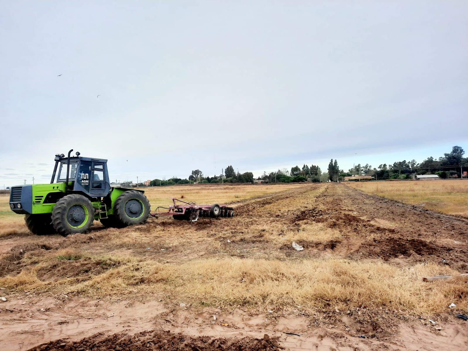 Abren nuevas calles en un loteo de varias hectáreas y cambia el paisaje del sector Este