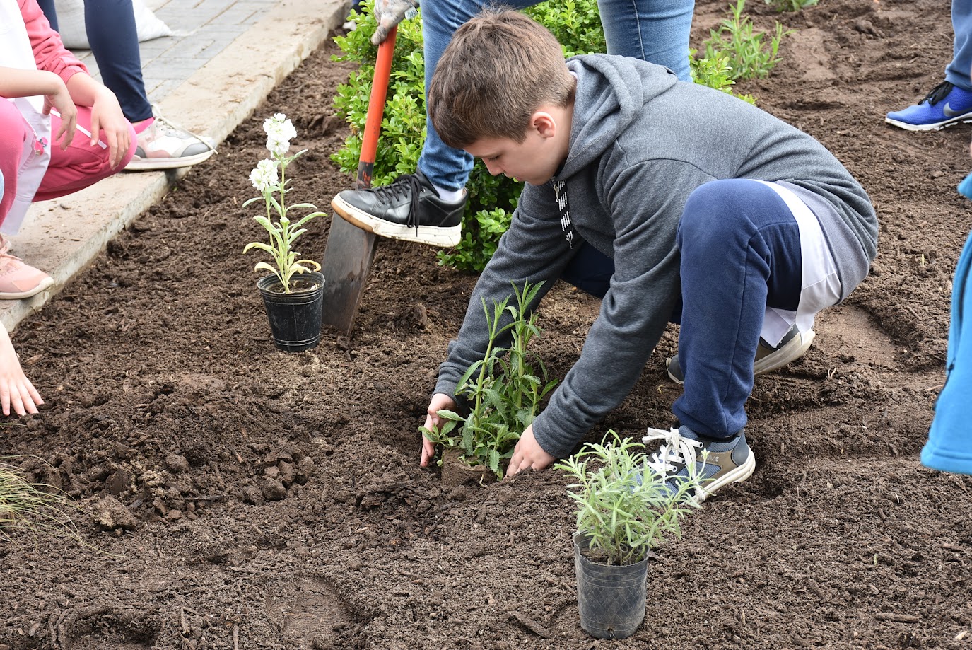 Alumnos de la Escuela 2 de Trenque Lauquen sembraron flores en la Plaza San Martín