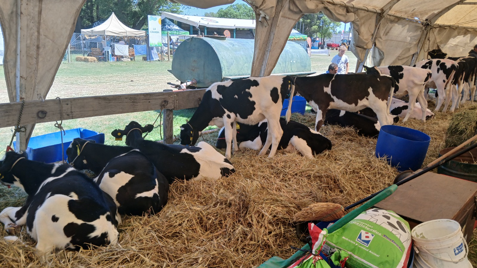 Ganadores de los primeros sorteos de la Expo Rural