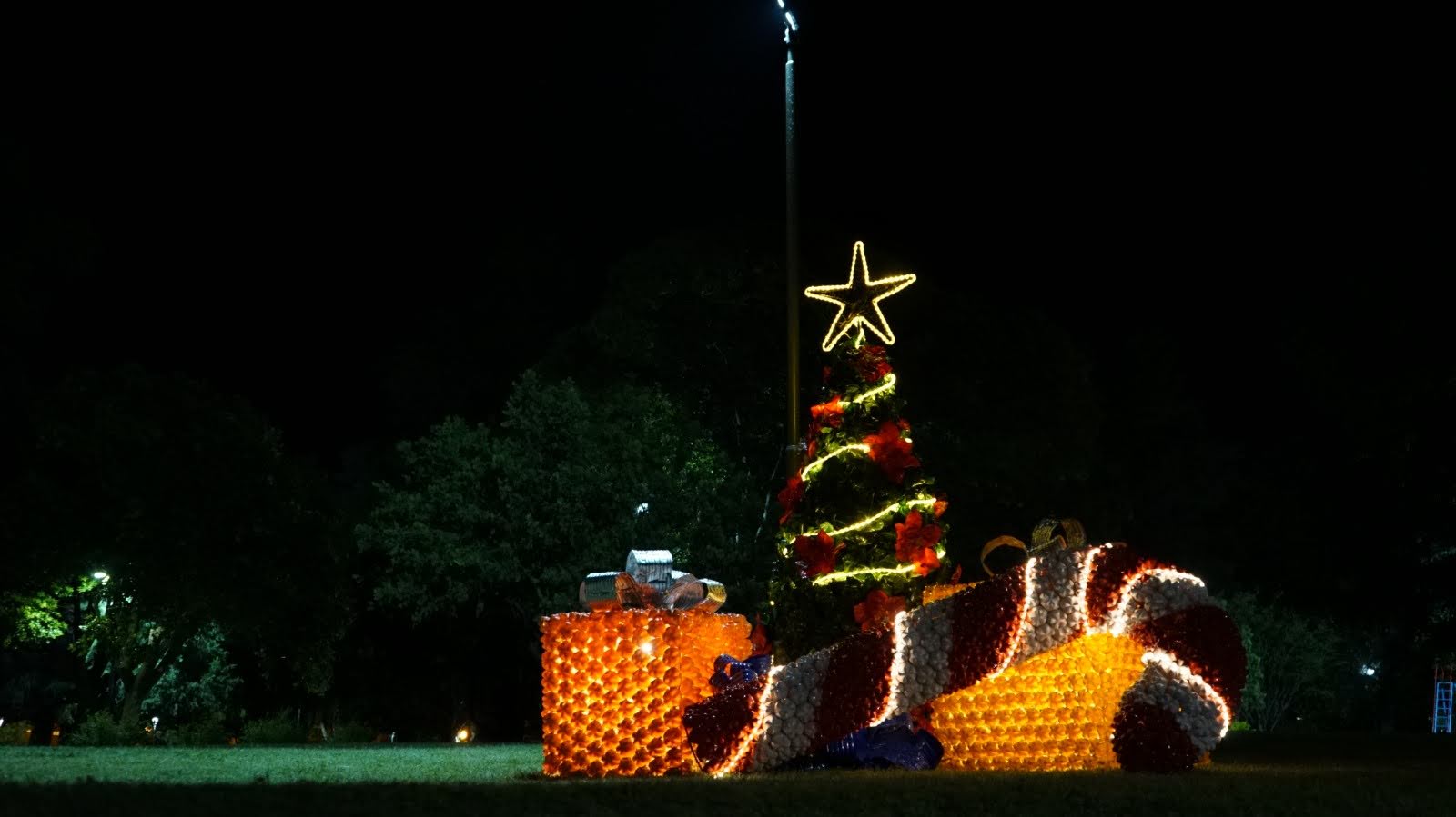 Ya están encendidos los arbolitos de Navidad en la ciudad de Trenque Lauquen