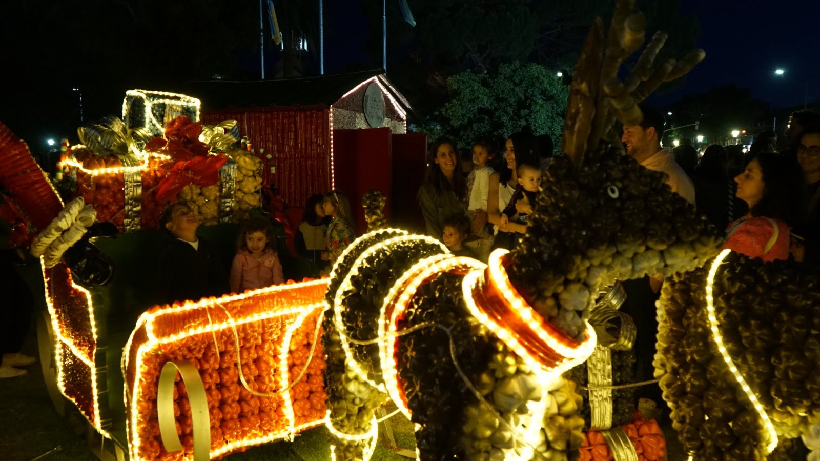 Una multitud vivió el tradicional encendido del árbol de Navidad en la Plaza